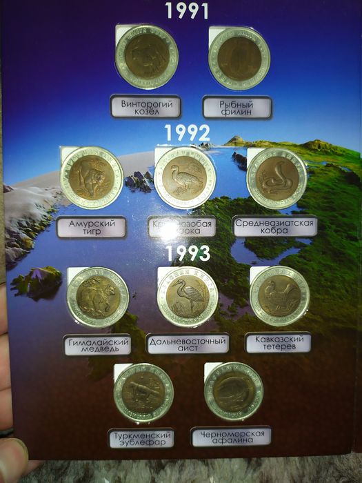 Красная книга, Барселона