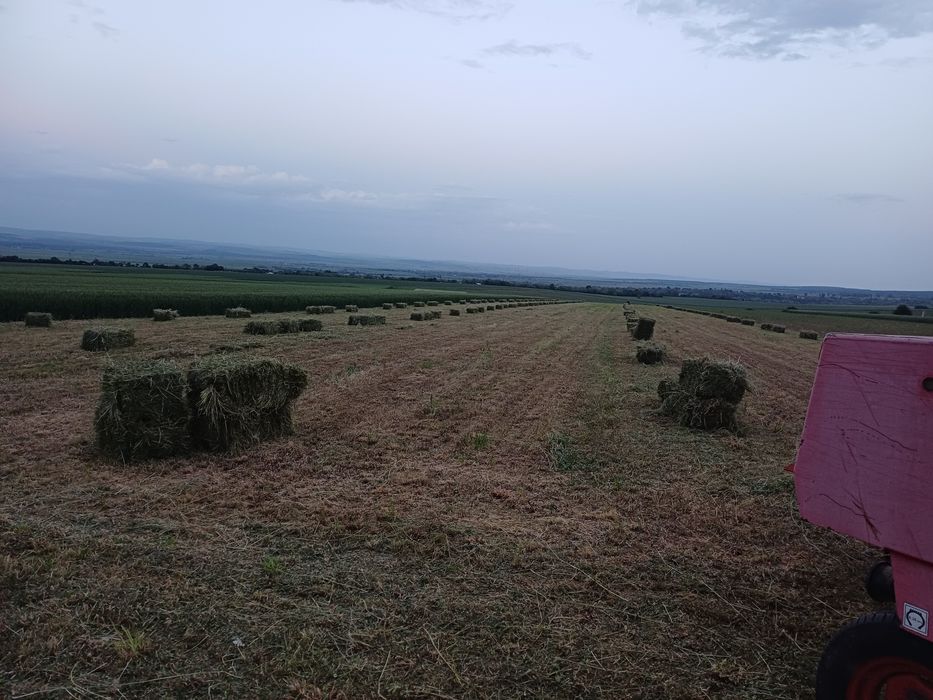 Baloti lucerna curata si  iarba cu lucerna