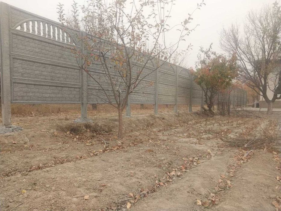 Yevro zobor sotamiz  250 000 oʻrnatamiz kelishamiz