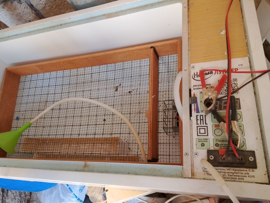 Инкубатор сатылад