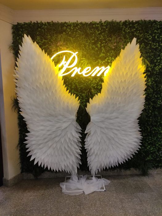 Inchiriez aripi de inger