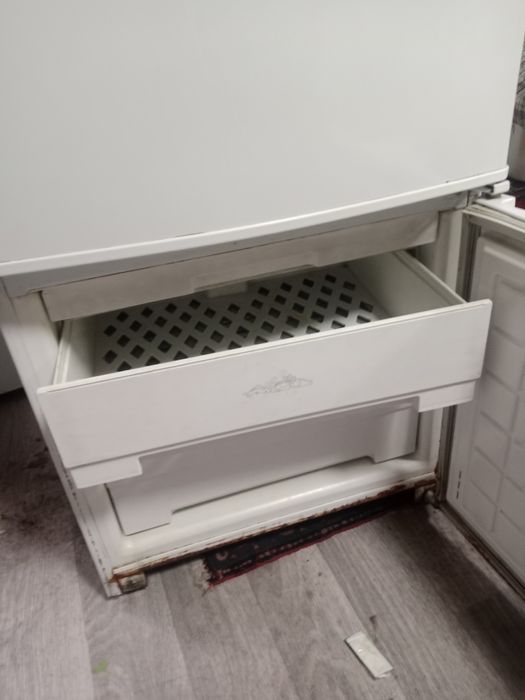 Холодильник Бирюса