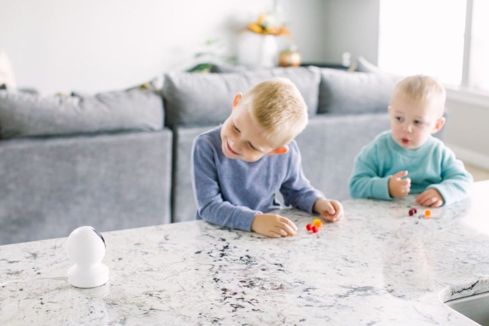 Camera de supraveghere Reolink E330, inteligenta artificiala, WIFI