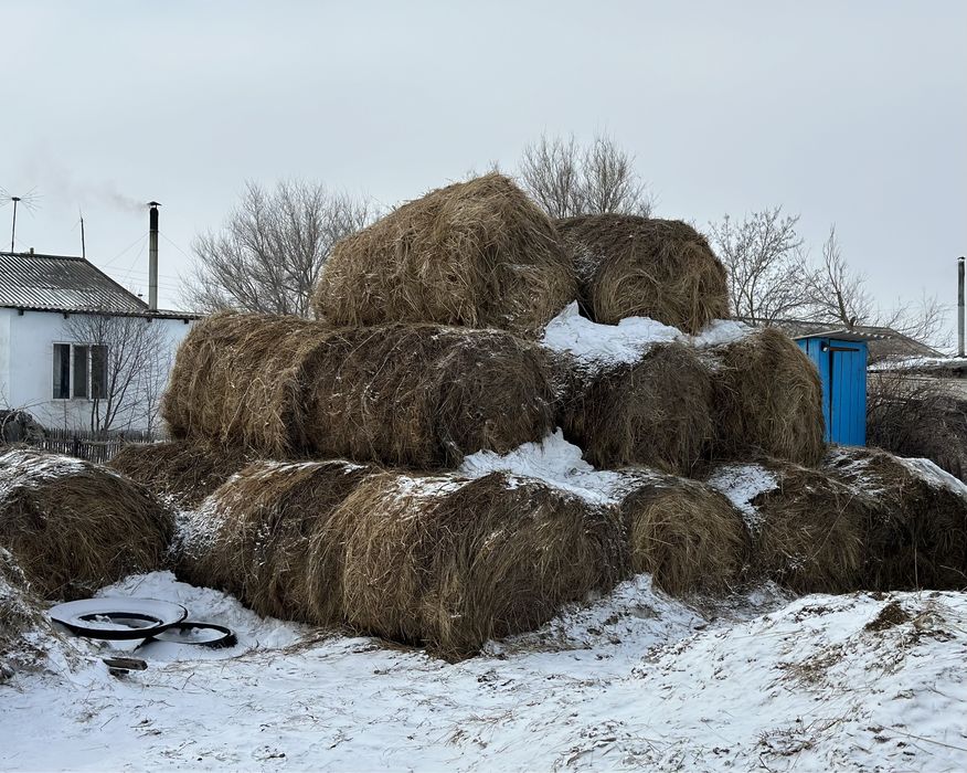 Продам Рулон Сено в розницу