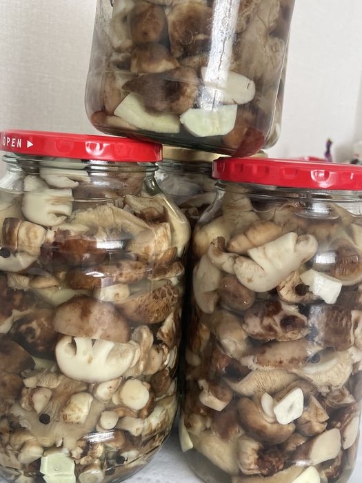 Грибы маринованные