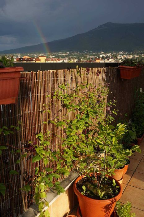 Продава се Двустаен апартамент в София, Овча купел - 141 кв.м за 1348 €/кв.м - Снимка #15