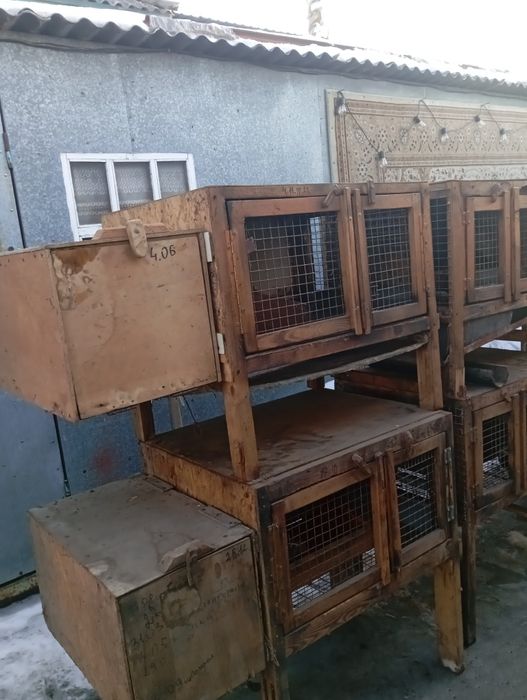 Клетки для кроликов !