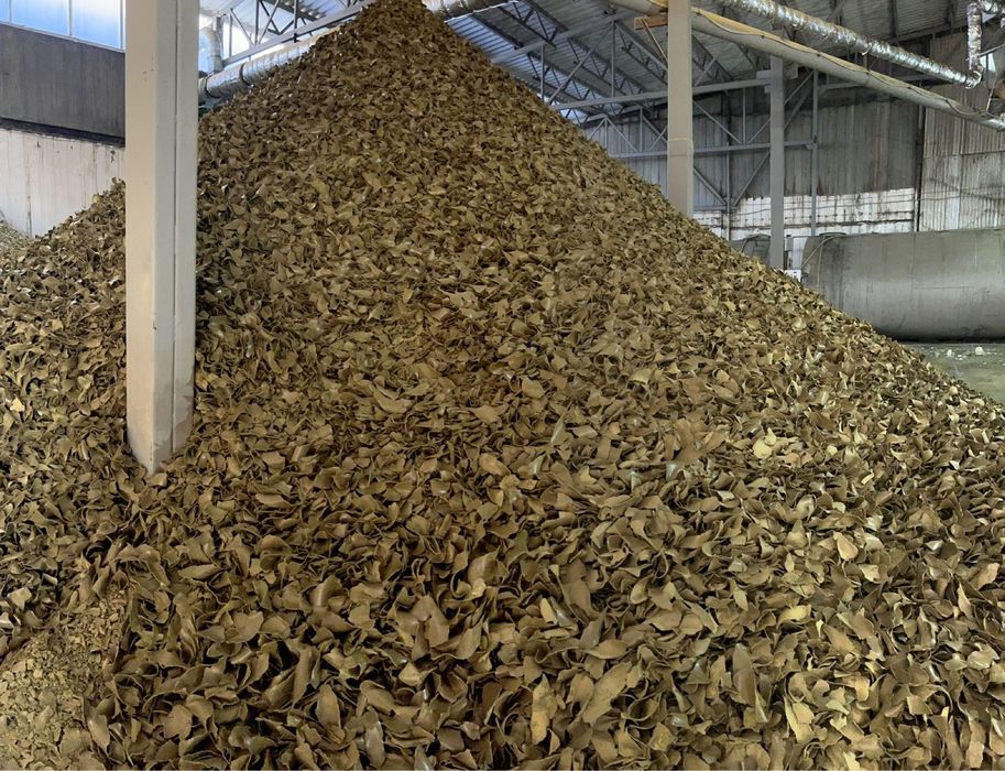 Жмых рапсовый.