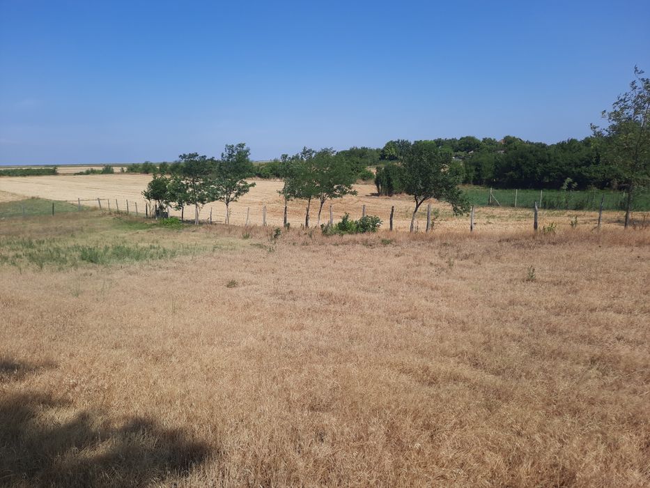 vînd casă 4 camere  la șoseaua principală