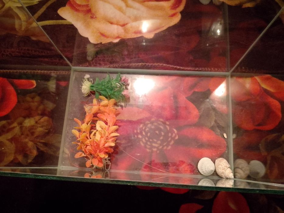 Аквариум продам пишите