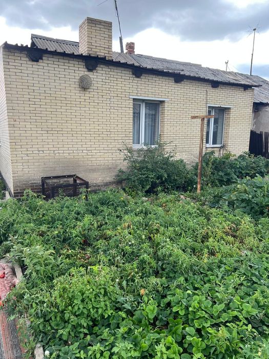 Продается дом на два хозяина  в Новодолинки