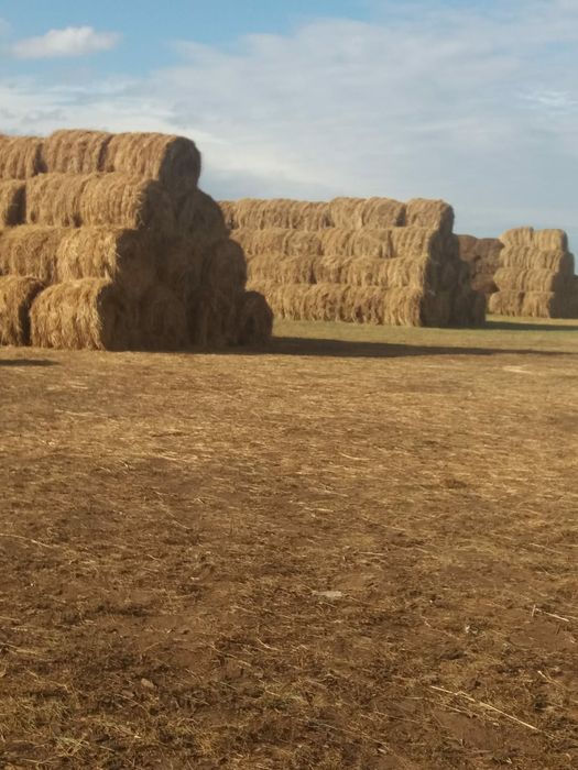 Продам Крестьянское хозяйство