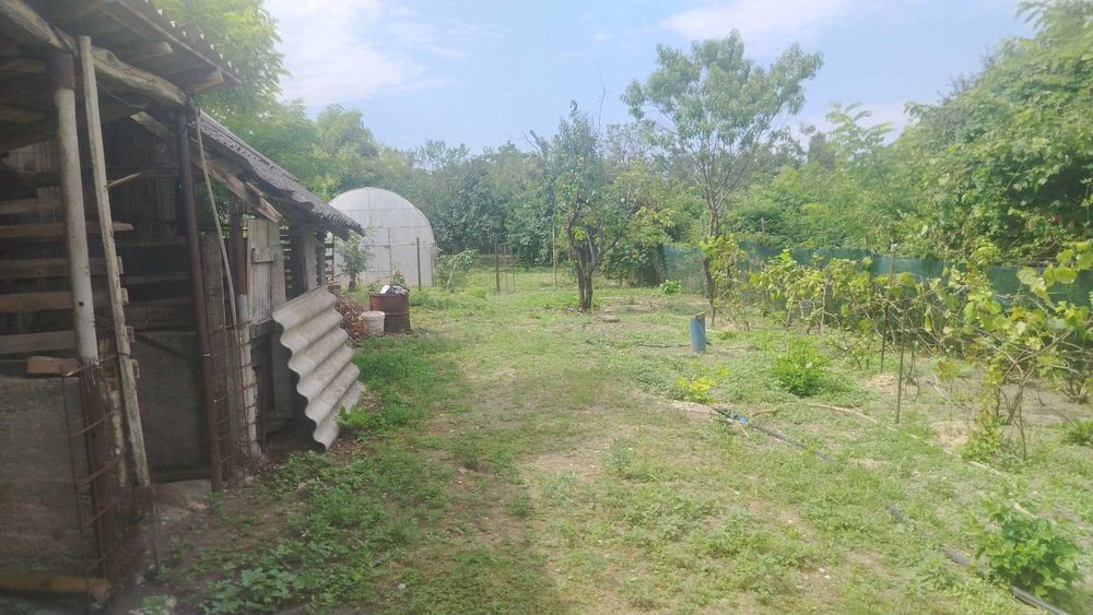 Particular casa la tara rustica 2100 mp, cu livadă, solar legume și utilitati - la aproximativ 60 km de București