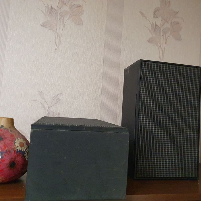 Акустическая система ЗАС-505 от Вега-323-стерео