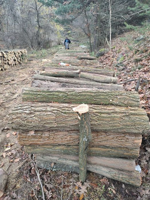 Предлагам дърва за огрев Дъб и бук Безплатен транспорт до адрес