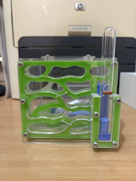 Муравьиная ферма