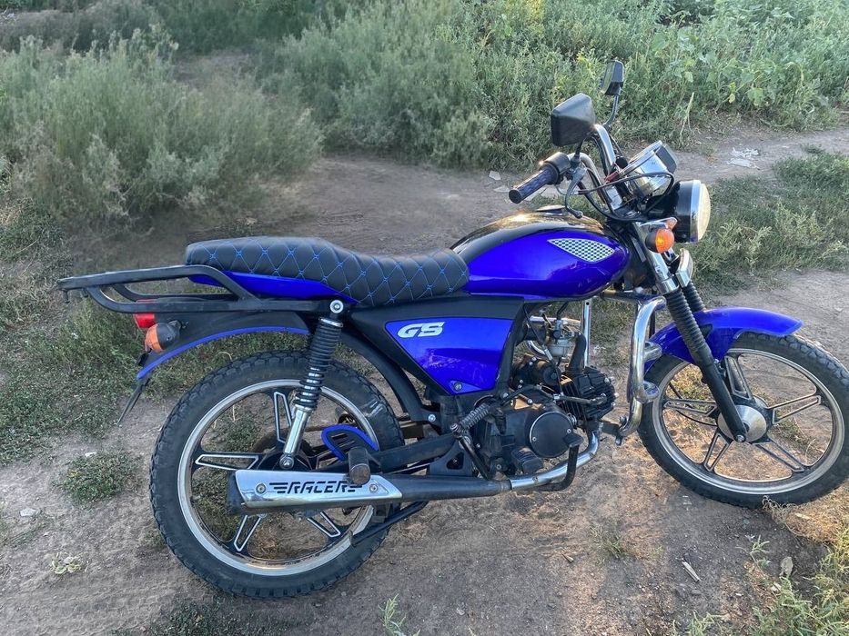 альфа рейсер 110см³