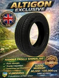 Altigon avtoshinasi
