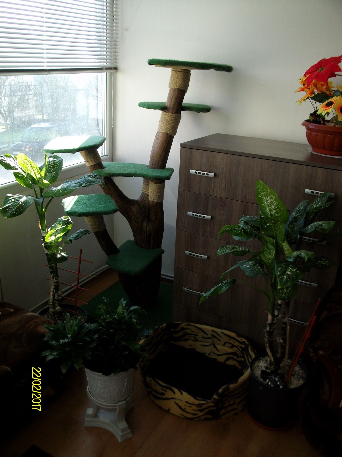 Котешки катерушки тип дърво Cat Tree гр. Трявна • OLX.bg