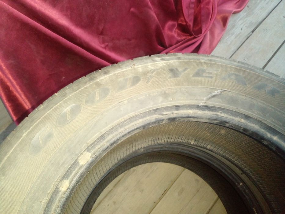 Донгелек  жагдайы жаман емес