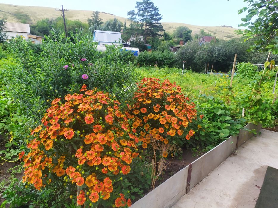 Продам дачу для души