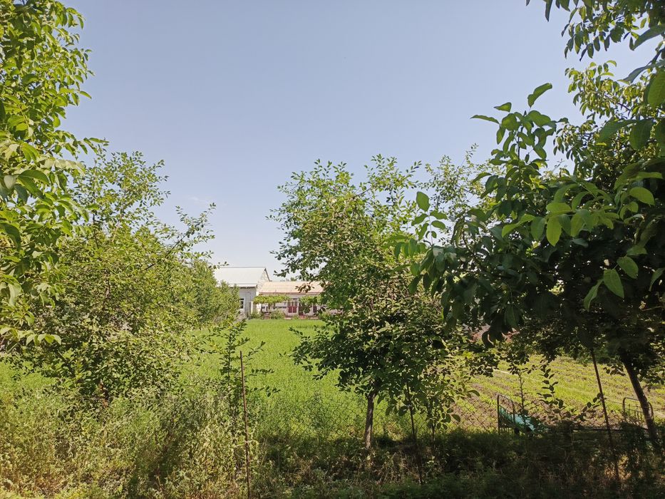 Uchastka sotiladi