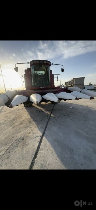 Makkajo‘xori jatka sotiladi