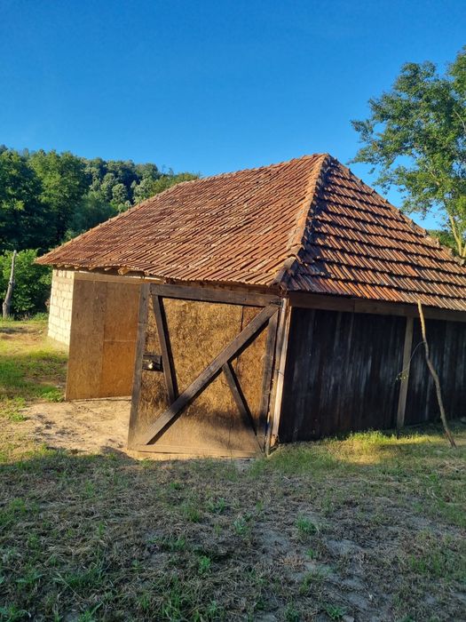 De vânzare proprietate deosebită in judetul Bihor Comuna Orvisele