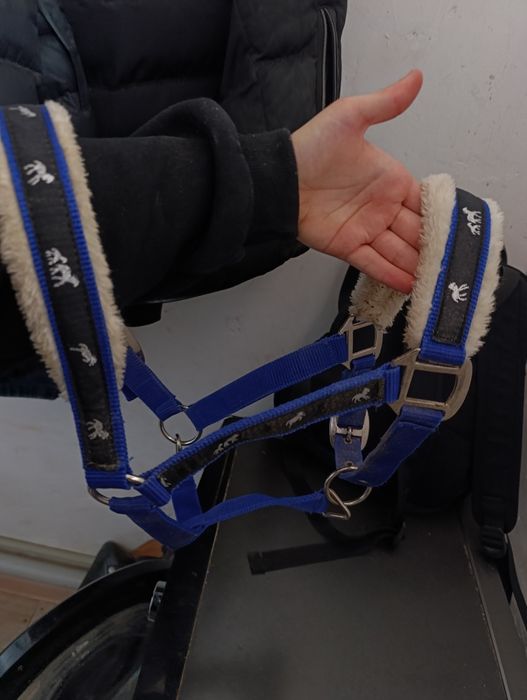 Продам недоуздок COB