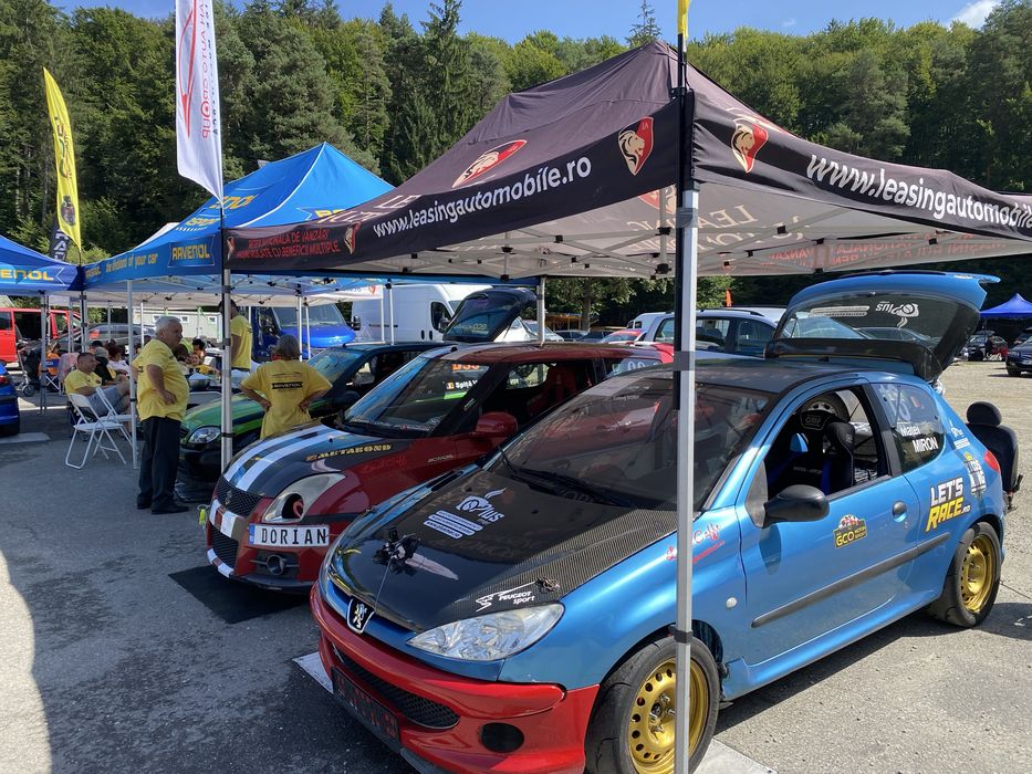 Peugeot 206 destinat competitiilor sportive