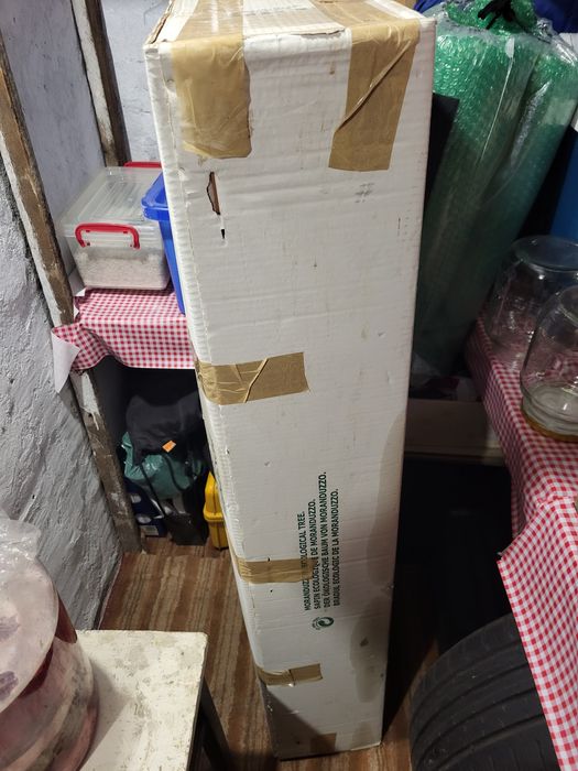 Brad ecologic de Crăciun