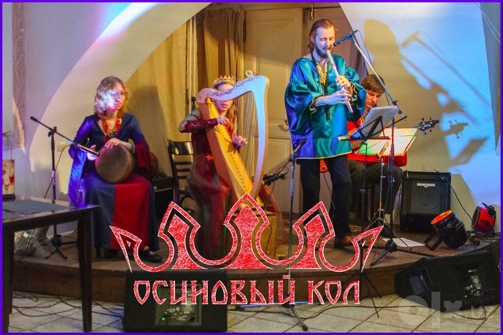 Преподавание исполнения ирландской народной музыки на блокфлейте.