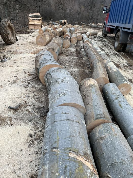 ‼️Lemne de foc de calitate superioară [Fag,Gorun,Carpen,Cer]