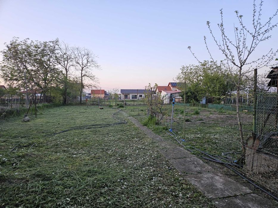 Casă + Anexe și Teren Generos în Sânleani (Livada) – Strada Principală