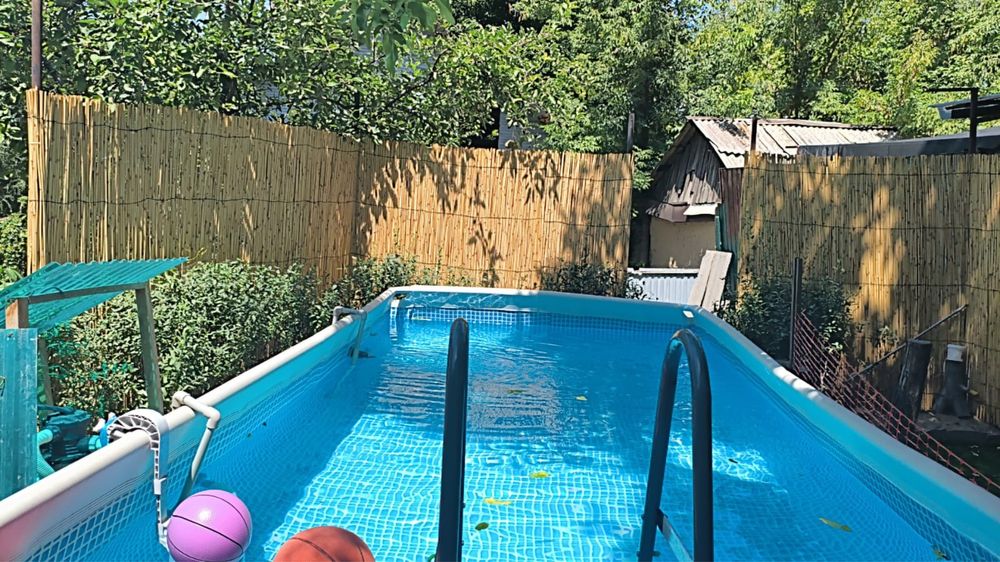 Камыш Декоративный