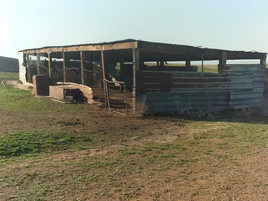 Фазенда, кашара 200га