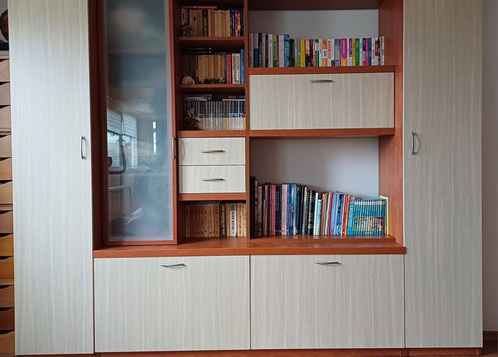 Vând biblioteca / camera tineret stare foarte bună