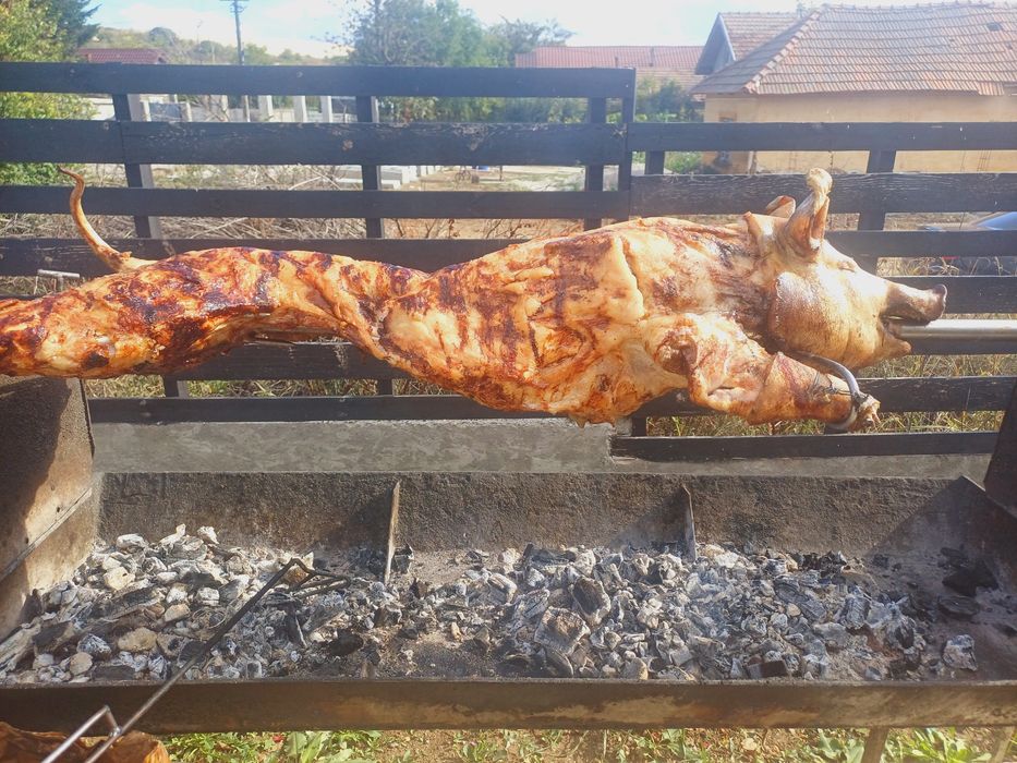 Realizez protap pt diferite evenimente!