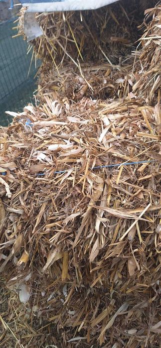 Vând baloti ovaz si ciocani