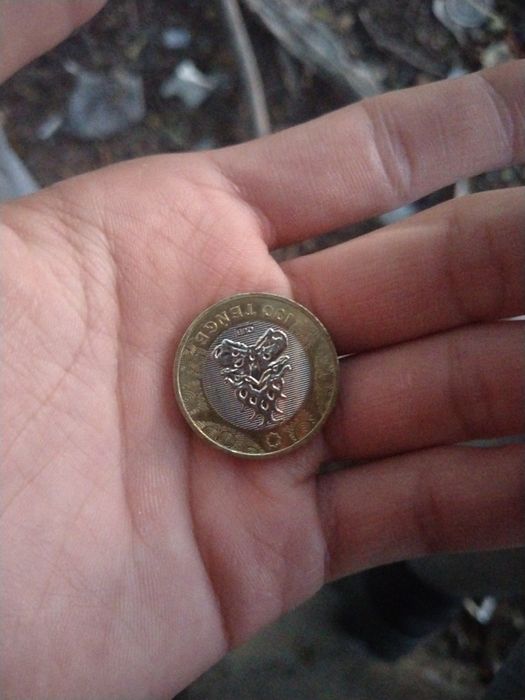 монета с рисунком