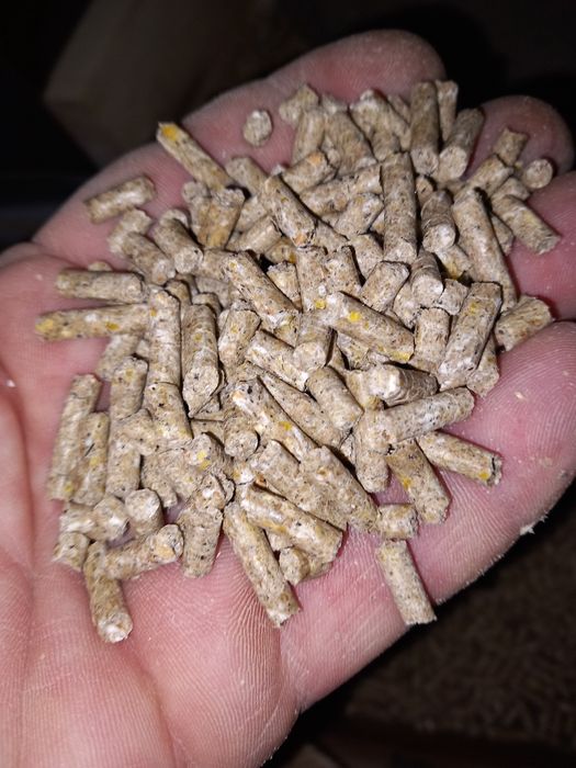 Furaj complet pentru vaci, viței, miei,oi, și capre