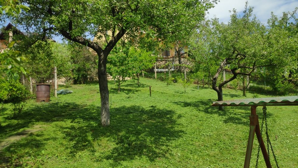 Curatare, întreținere gradini, taiete copaci, defrisari, tocare crengi