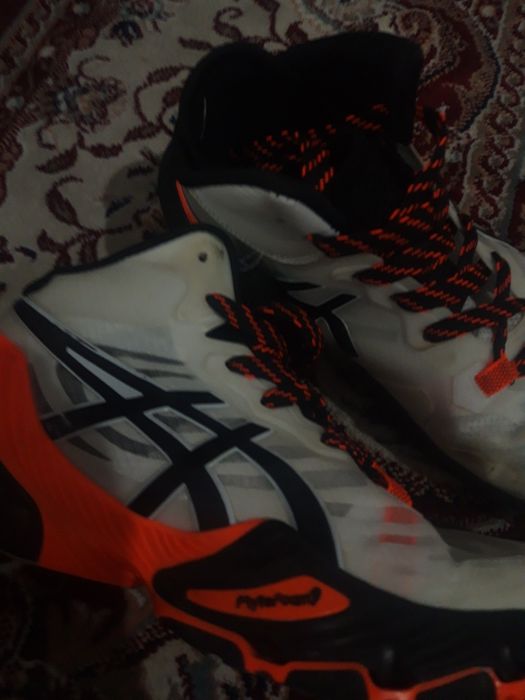 Шымкент каласы 3990тг