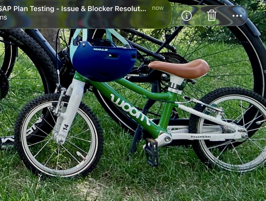 Woom 2 verde - bicicleta 14 inch - in stare buna