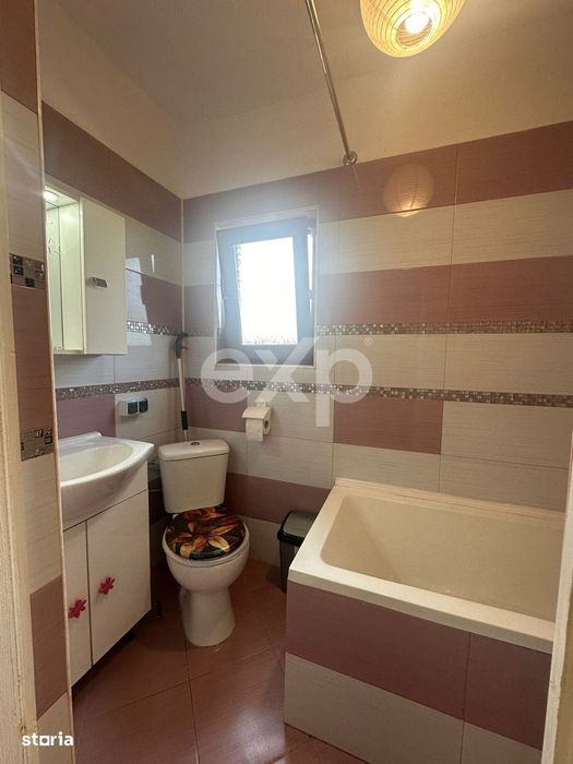 Casa Individuala Ciocanesti DB