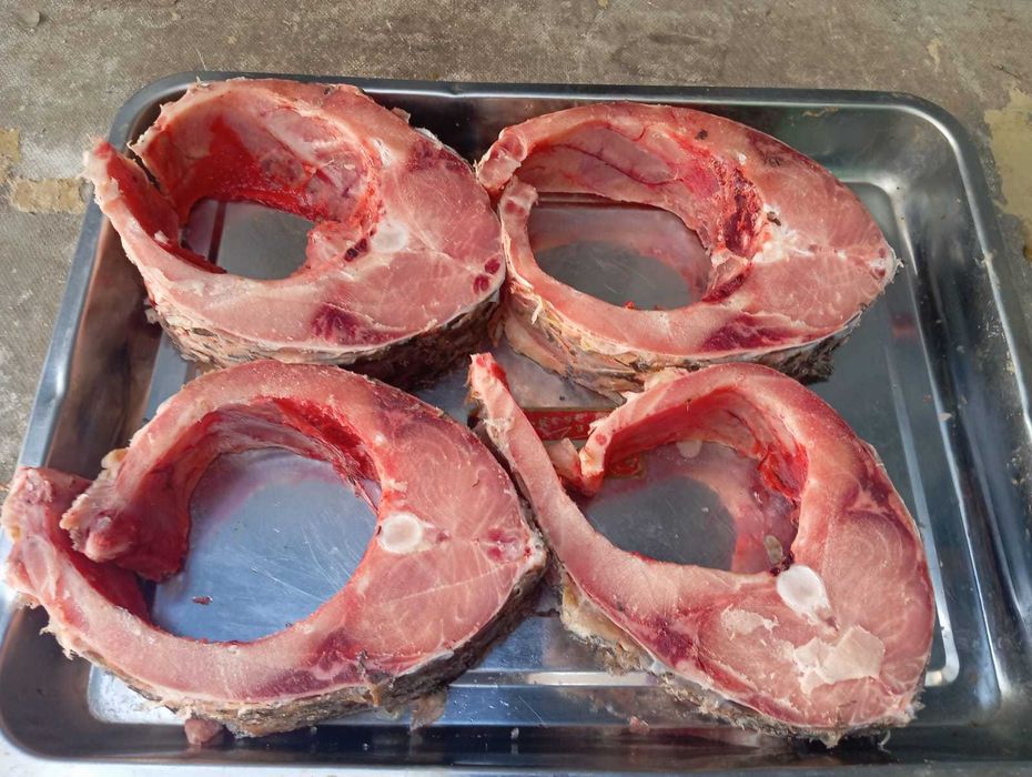 Стейки сёмги и сазана