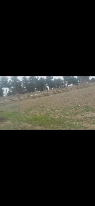 Yer sotiladi murojat qilish ucun nomer qoldirdim