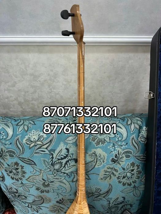 Домбыра проф домбра