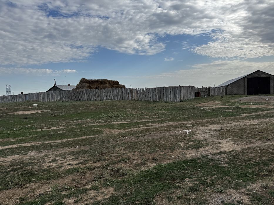 Продам КХ  дом и кашар для откорм