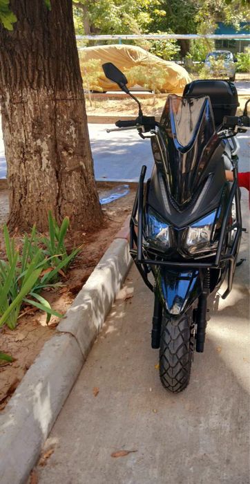 Drongo skutir yengi xali azgina yurgan